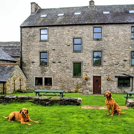 Lodge New Ing Shap